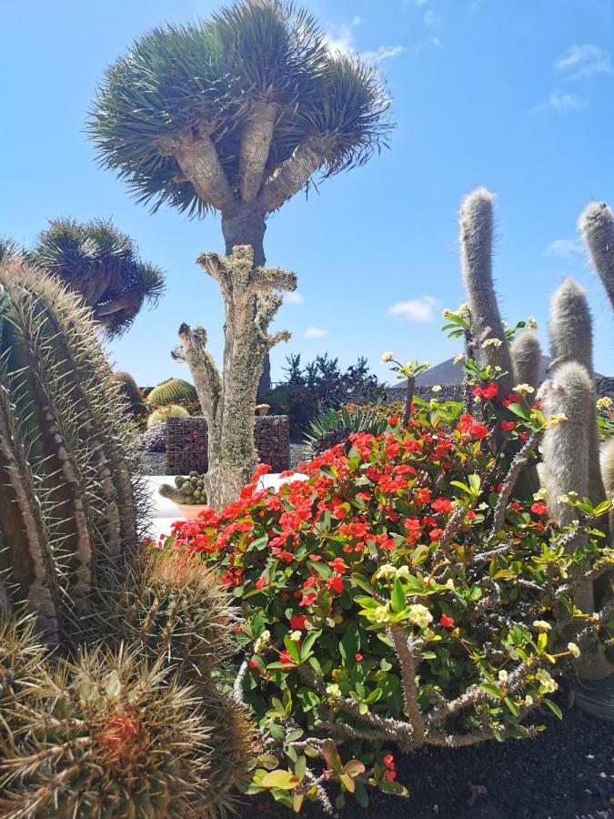 Los Dragos Masdache Exteriér fotografie